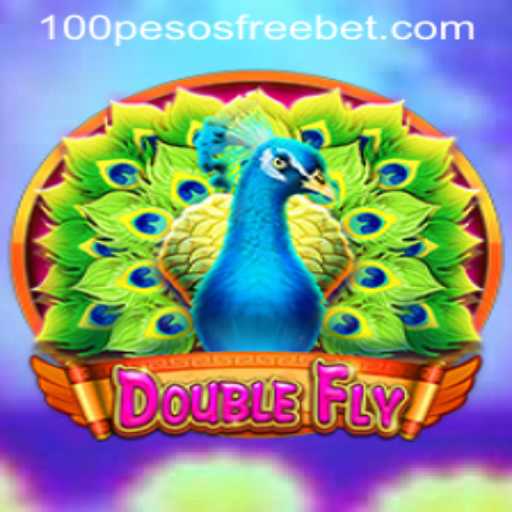Exciting Gameplay and Reward Opportunities in DoubleFly